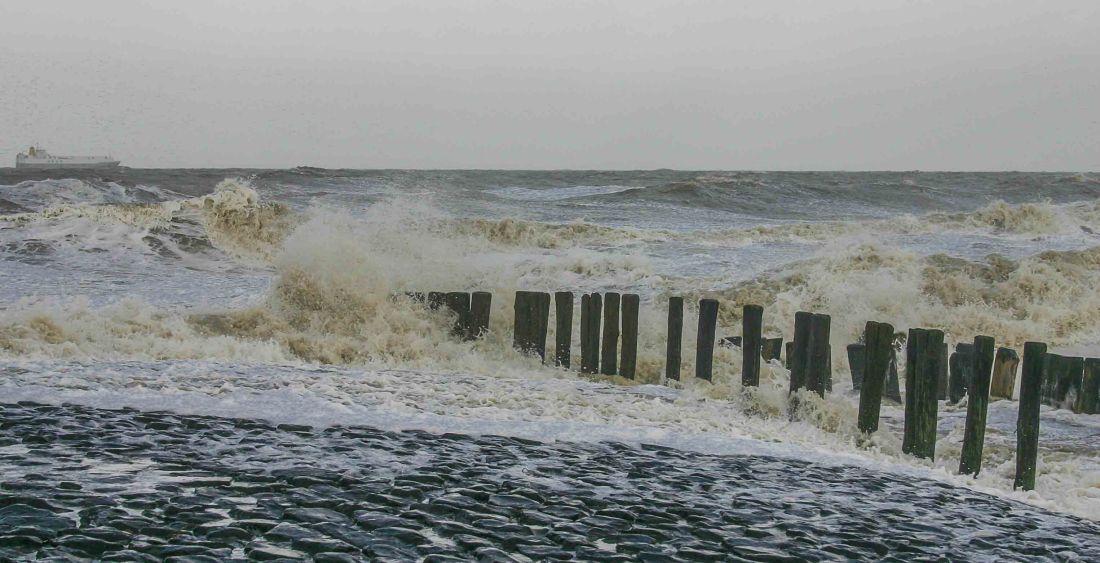 2013 Kerstzwemtocht zee (1 van 1)